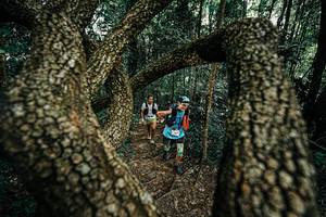 BIB: 
                            <button type="button" onclick="openModal(25392788)" class="btn btn-primary btn-sm float-right btn-popup" data-toggle="modal" data-target=".modal-high-quality">
                        <i class="fas fa-shopping-cart"></i> Add to Cart
                    </button>
                                            <button type="button" onclick="isThisMe(25392788, true)" class="btn btn-success btn-sm float-right btn-popup btn-isme hidden" data-toggle="tooltip" data-placement="bottom" title="นี่คือรูปของคุณใช่ไหม คลิกที่นี่เพื่อเอาเข้าอัลบั้ม">
                        <i class="fas fa-plus"></i> Add to album
                    </button>
                    <button type="button" onclick="isThisMe(25392788, false)" class="btn btn-warning btn-sm float-right btn-popup btn-isnotme hidden">
                        <i class="fas fa-ban"></i> Remove from album
                    </button>